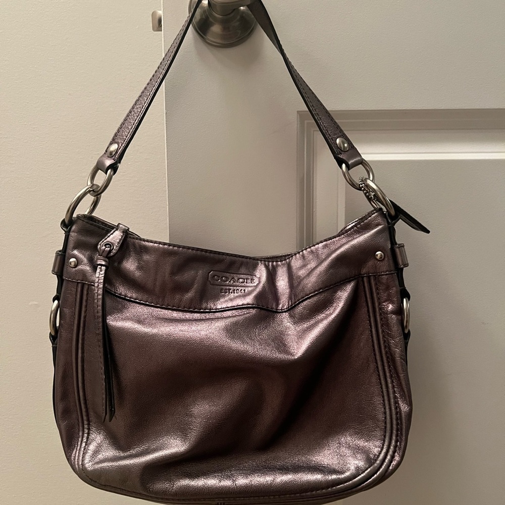 Coach Leather Zoe Hobo Bag